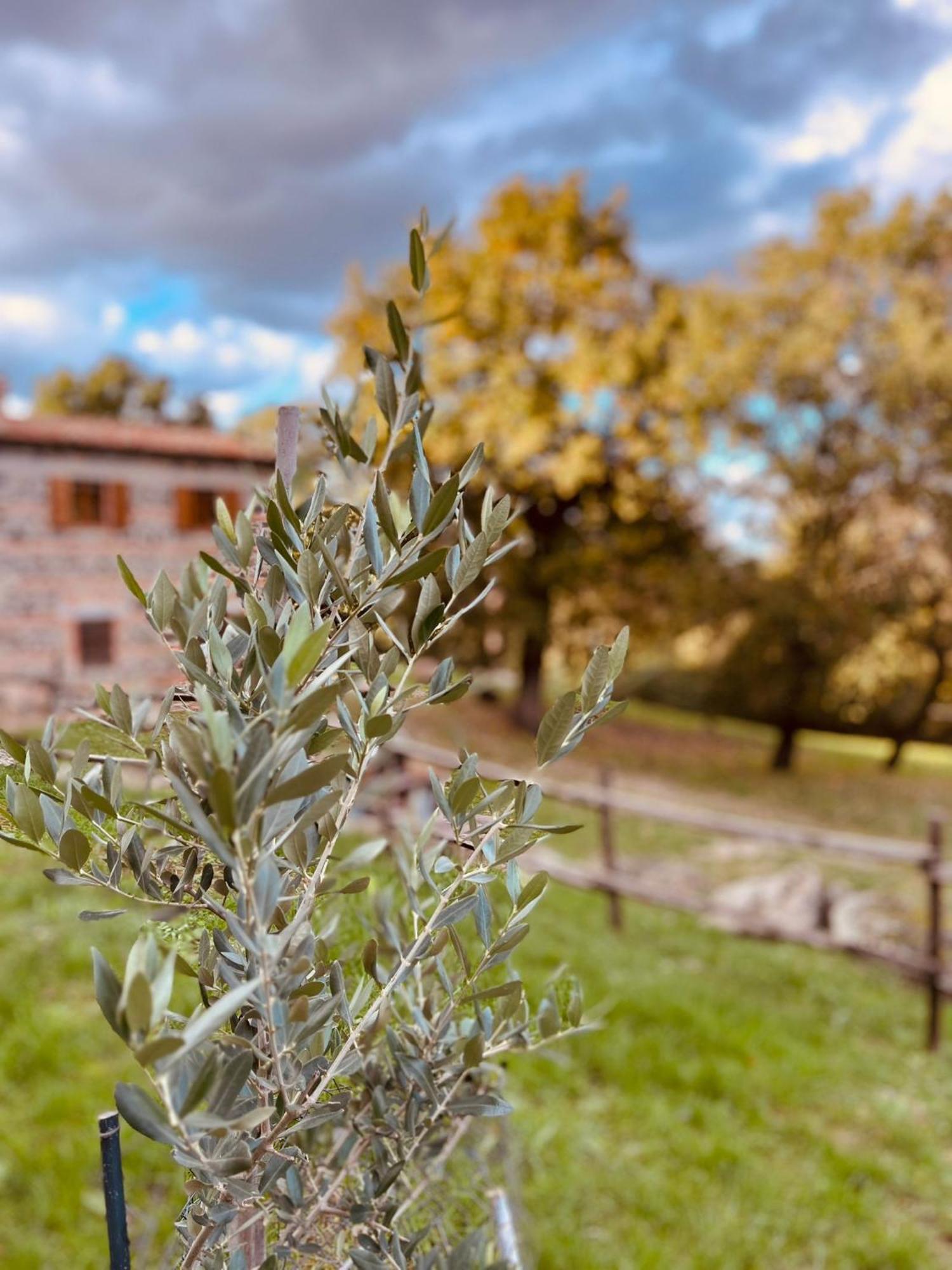 Casetta Di Ugolino Radicofani Exteriér fotografie