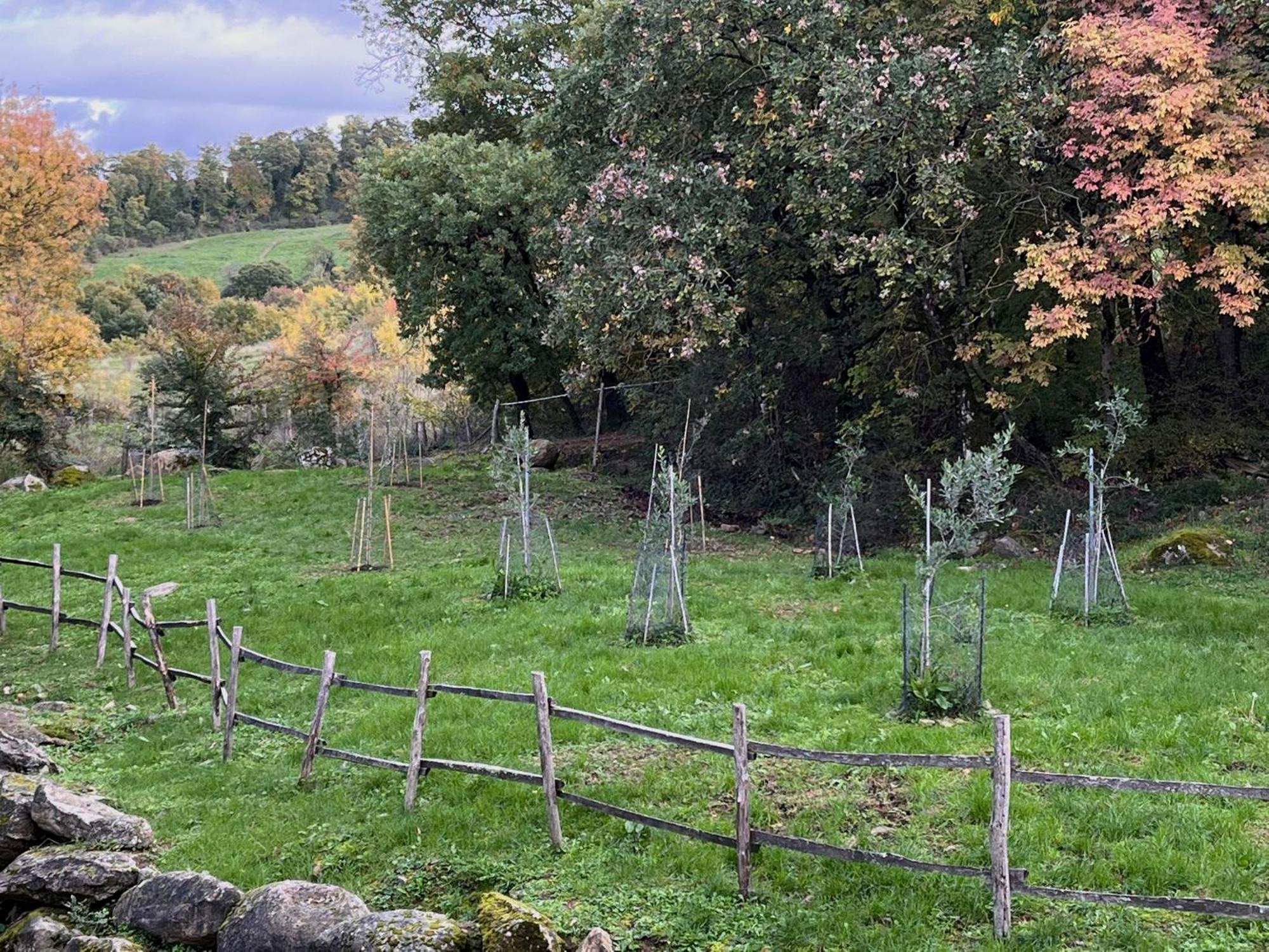 Casetta Di Ugolino Radicofani Exteriér fotografie